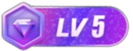 LV5 等级-LV5-团络网